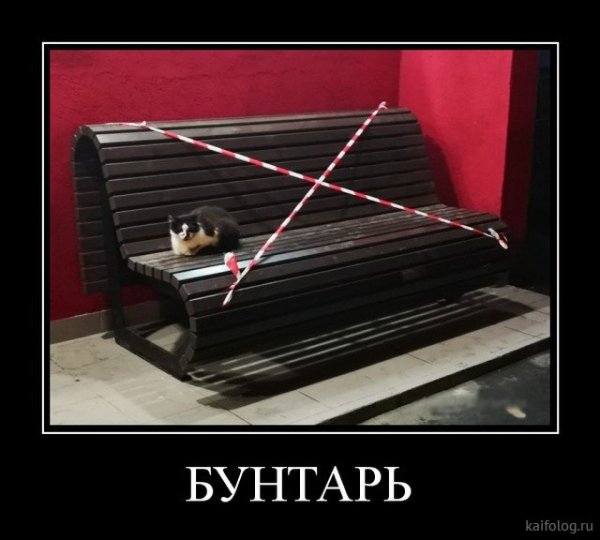 picture_379943881