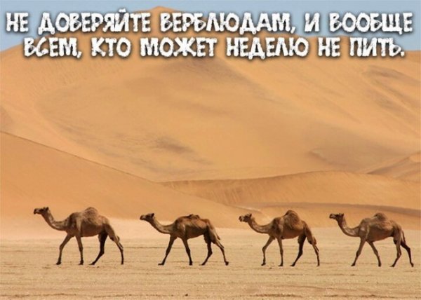 IMG-20210130-WA0085
