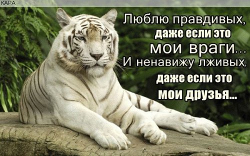 picture_212553839