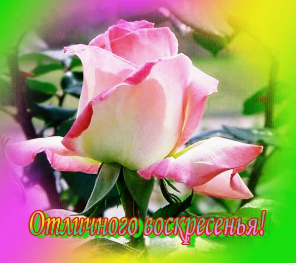 выходные 125955