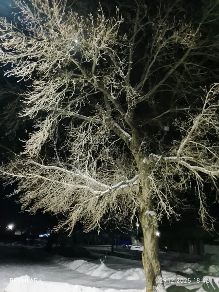 picture_403502396