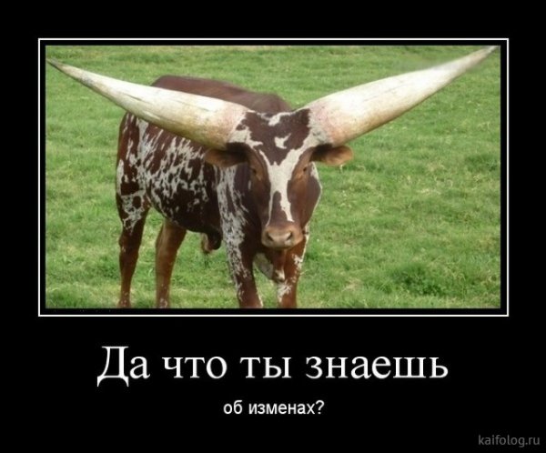 picture_378930007
