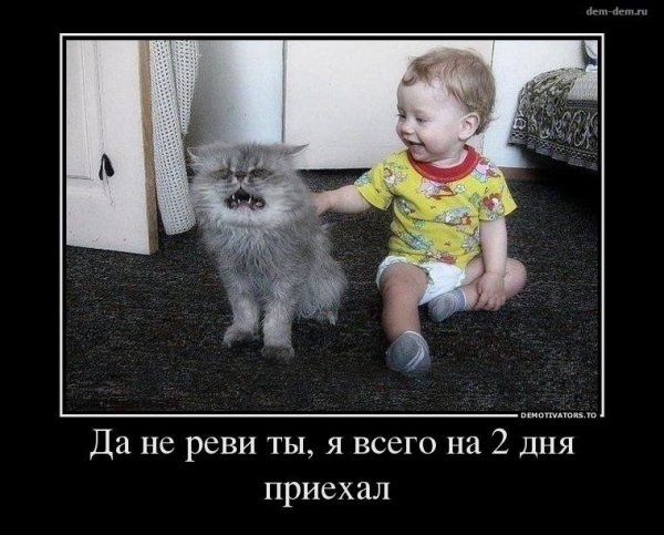 Не реви ты)) Скоро уеду