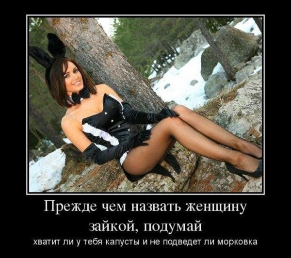 picture_377281058