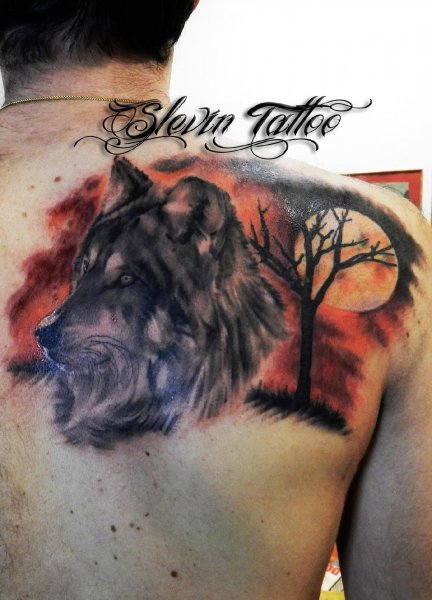 Tattoo (5068)