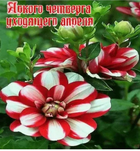 Доброе утро!