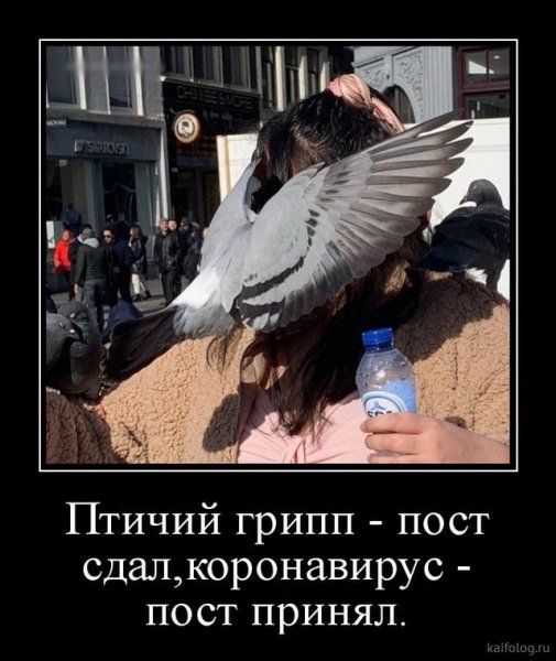 picture_381179433