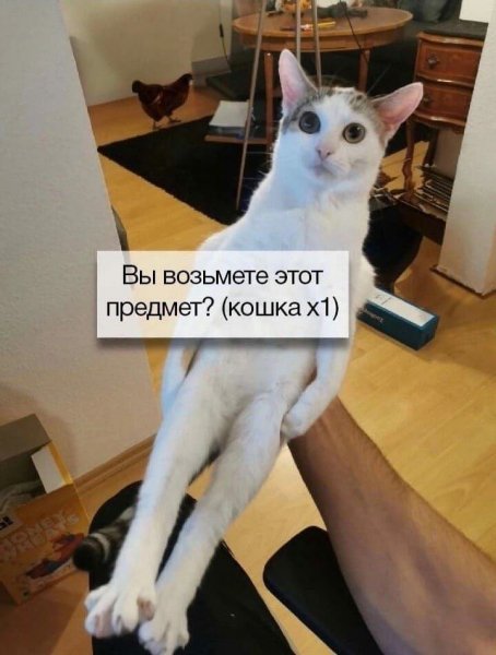picture_412697248