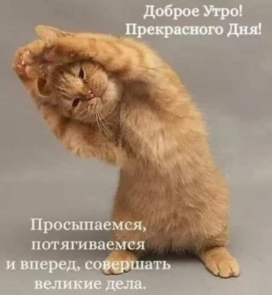 FB IMG 1621454085058