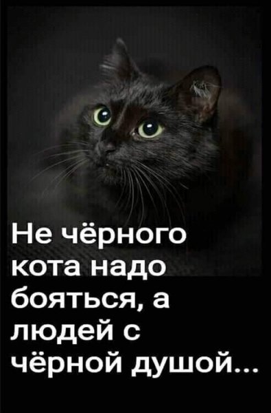IMG 20210418 033534