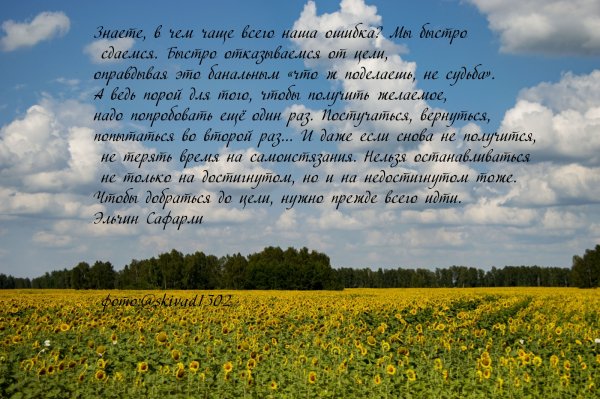 images 16846