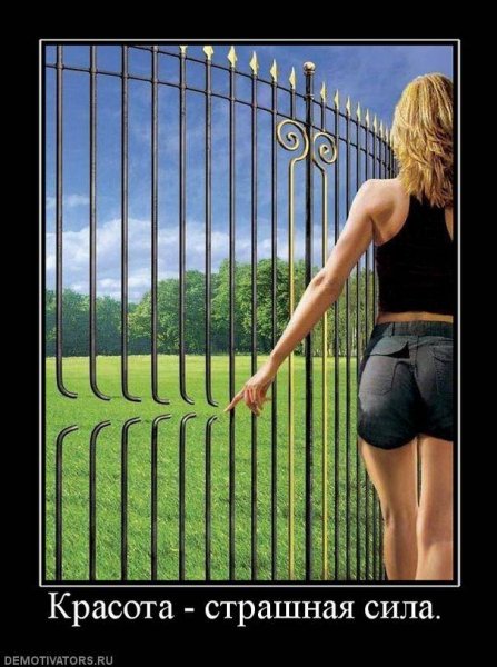 Demotivator (58)