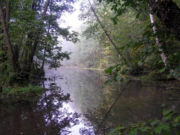 picture_315037028