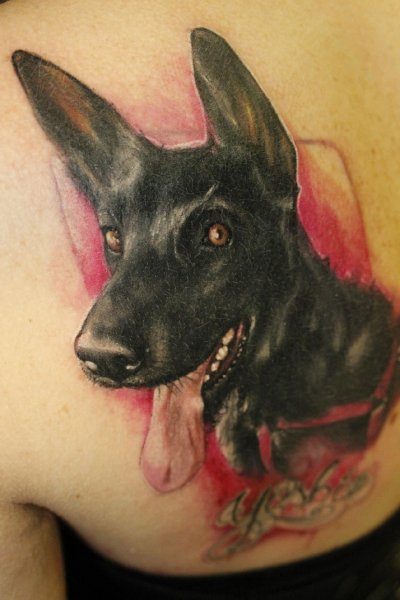 Tattoo (4837)