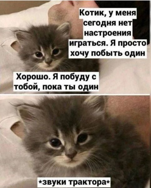 КотЭ)
