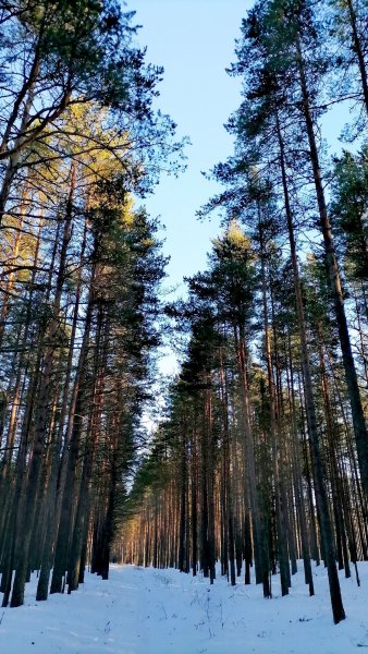 picture_357729640