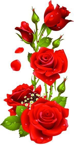d36ee599fb6ea6816746d479e55a1