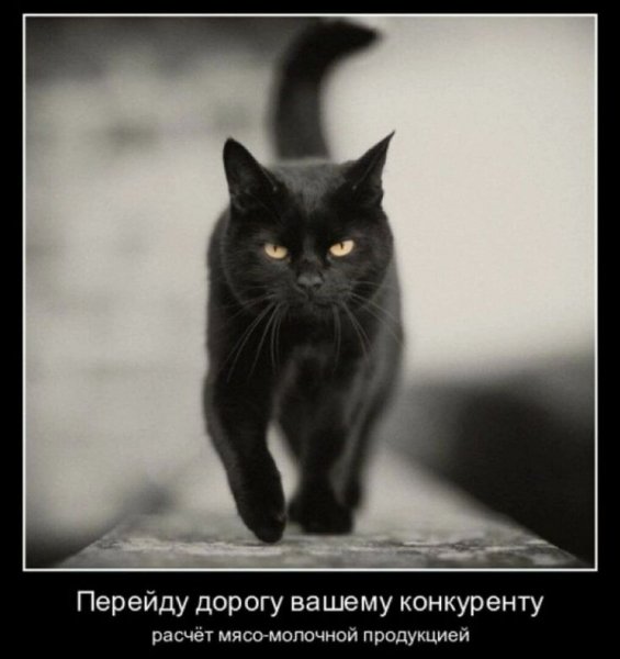 ))))))