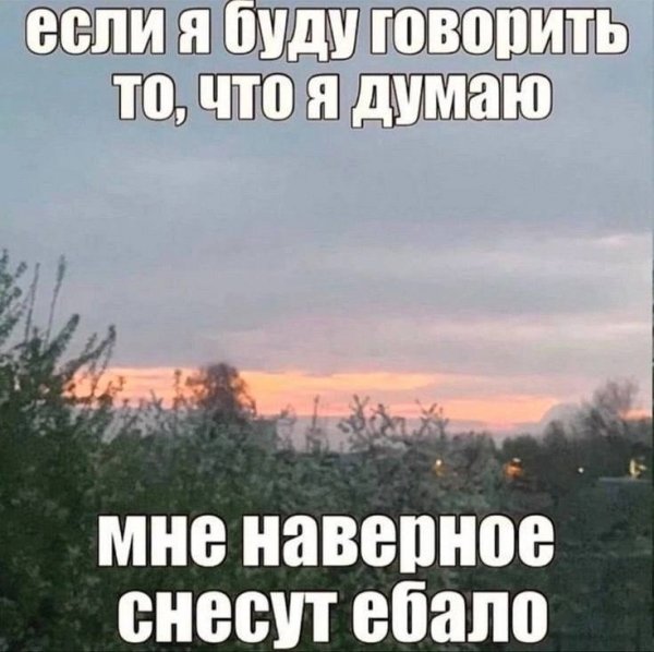 picture_412697514