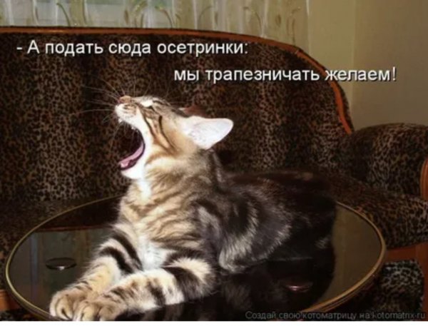 Да! ))