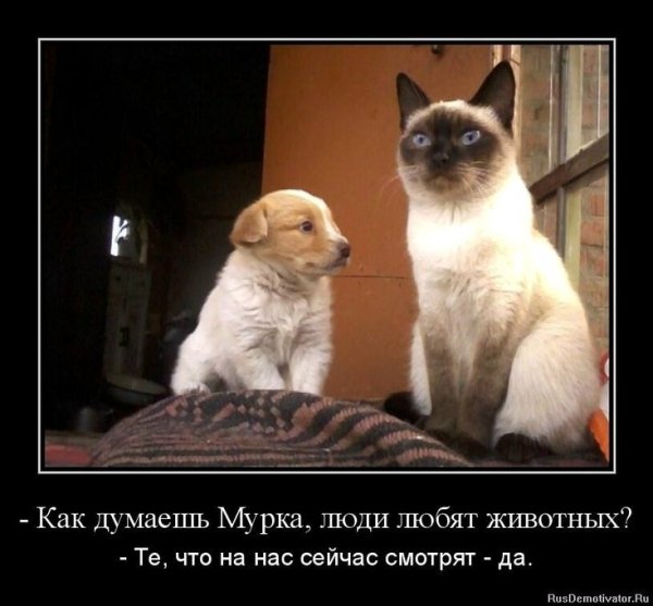 picture_418238437