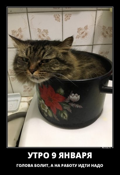 Утро