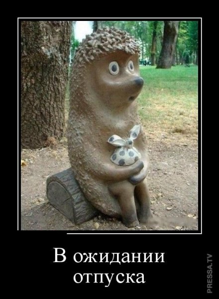 picture_248891248
