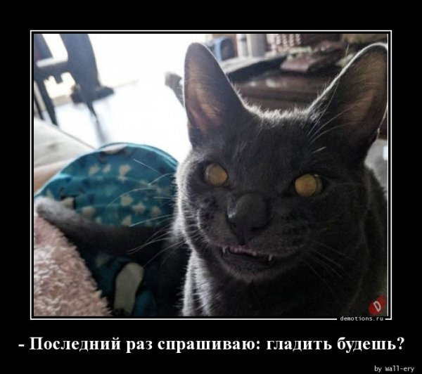 Posledniy-raz-