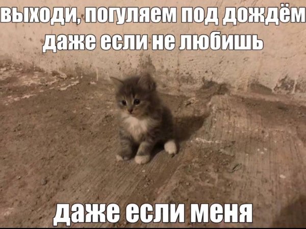 picture_412949256