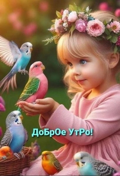 picture_371469579