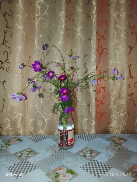 picture_418569390