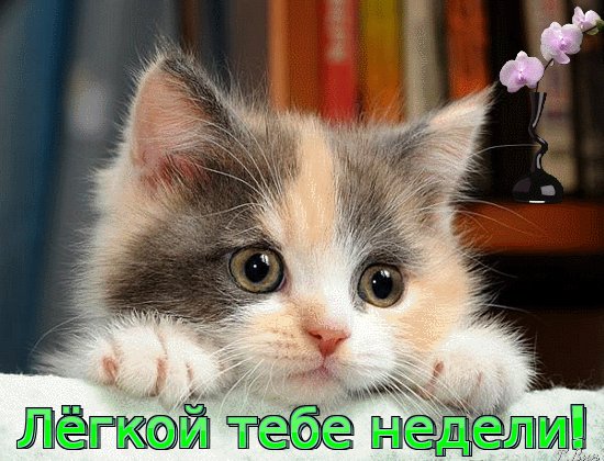 l-gkoj-tebe-nedeli