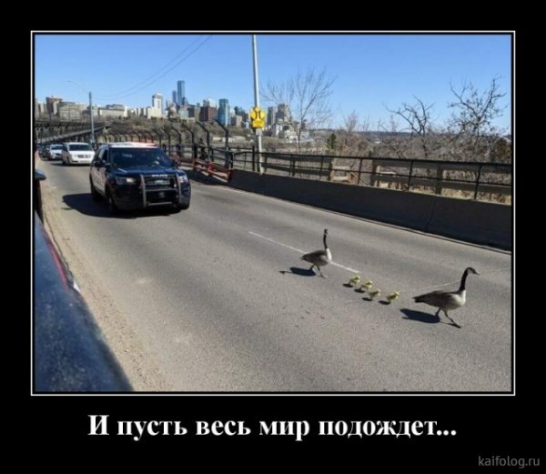 picture_379118758