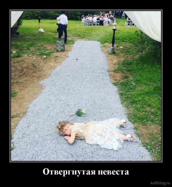 picture_379118762