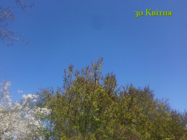 30 Квітня