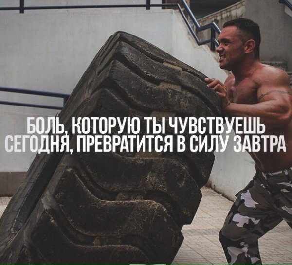 ThQ2vlzC8E0
