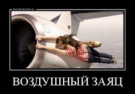 pics
