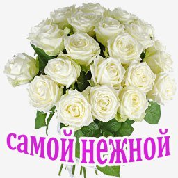 розы