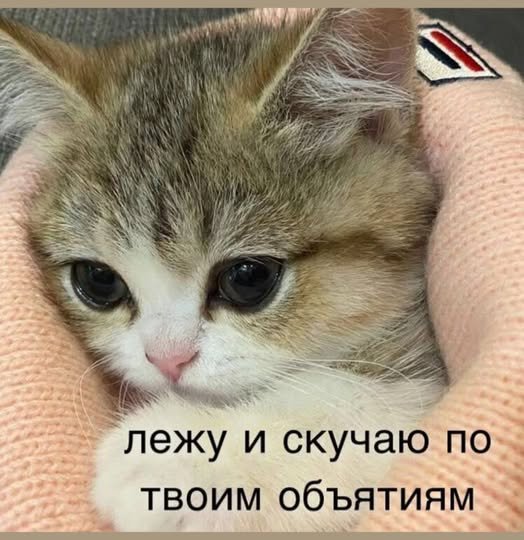 Скучаю