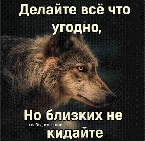 IMG 20210205 024239