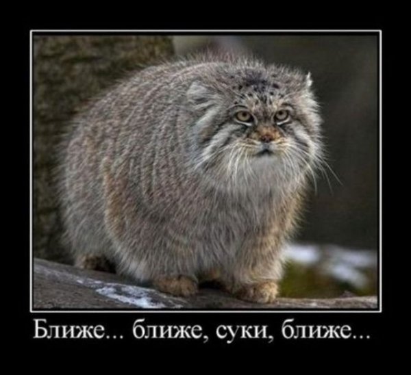 Ближе, ближе