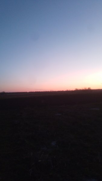picture_411543120