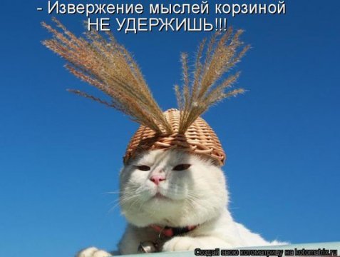 picture_290056620