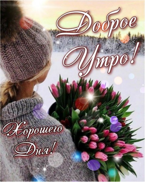 aef3af95fa2eb5c62465d398a327fcdb