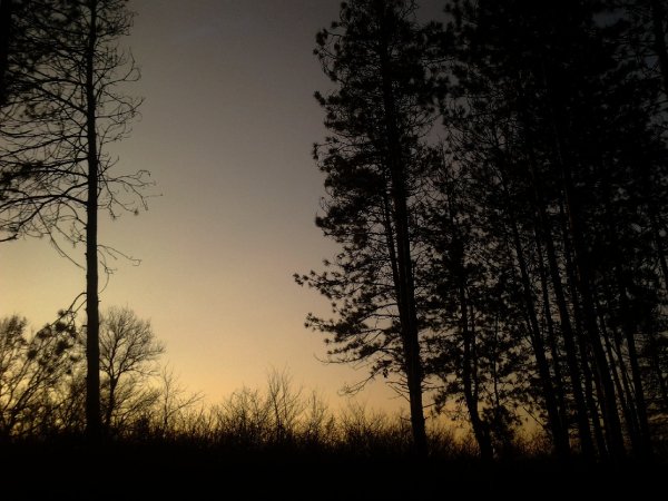 picture_96877488
