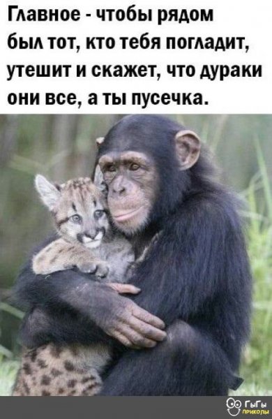 lTm0B6aqD s