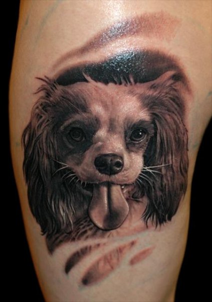 Tattoo (4892)