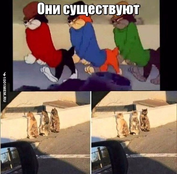IMG 20220416 222301 272