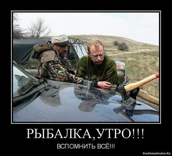 демотиваторы 084051