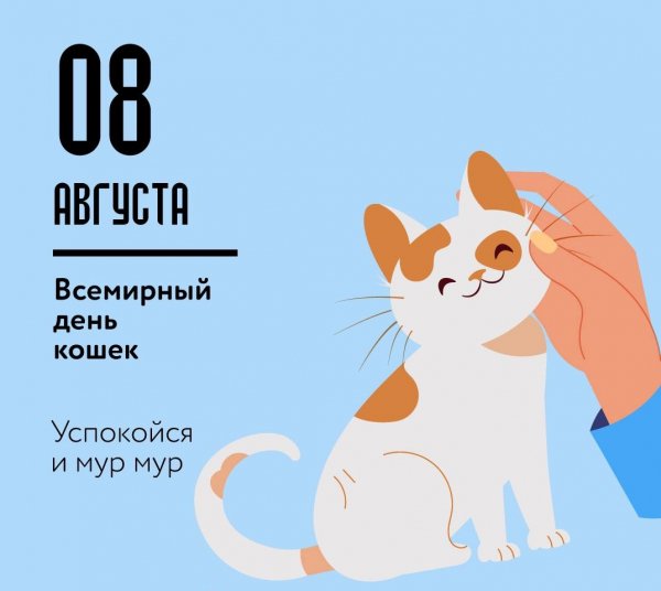 IMG 20240808 144408